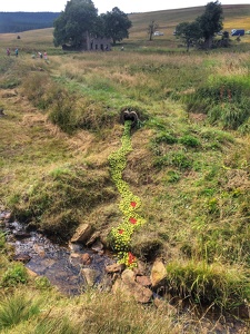 Land Art Festival, 2017 - Königsmühle, CZ