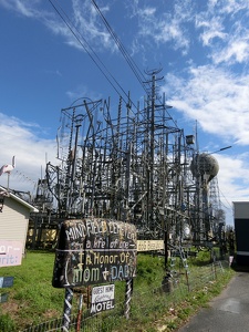 Billy Tripp's Mindfield