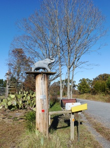 Riddle's Elephant and Wildlife Sanctuary, Arkansas