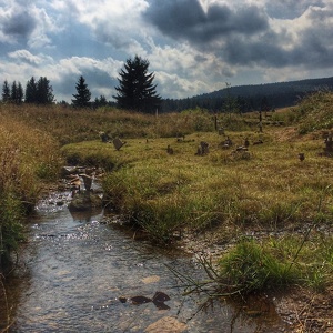 Land Art Festival, 2017 - Königsmühle, CZ